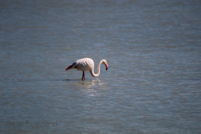 IMG_9297.jpg