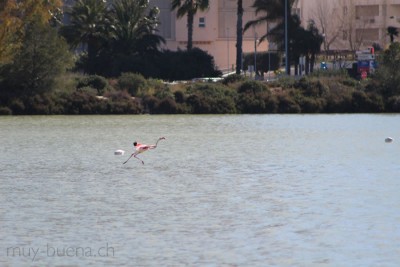 IMG_9406.jpg