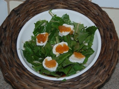 Löwenzahnsalat mit Ziegenkäse und Aprikosenmarmelade