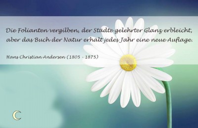 natur-11.jpg