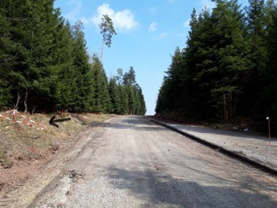 Hier wird gerade die Straße verbreitert - Glück gehabt oder werden sie noch umgesiedelt?