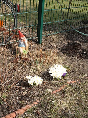 P3241444 Zwerg.jpg