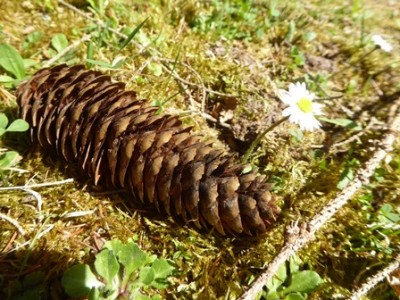 Die Zwangspause nutzt Frau, um nach schönen<br />Fotomotiven Ausschau zu halten.