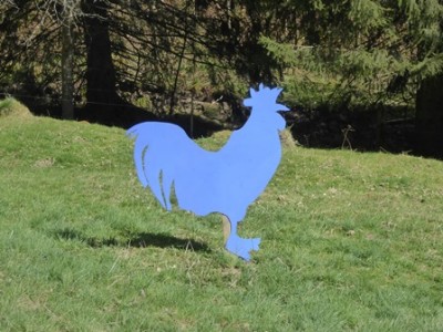 Wo uns auch ein blauer Hahn begegnet