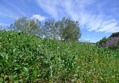 P1200145.JPG