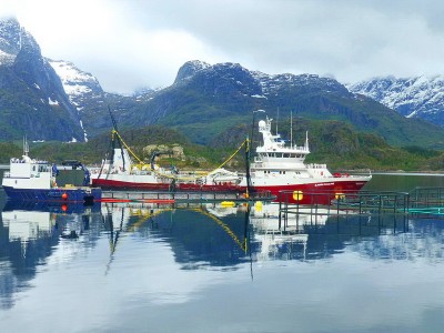 Lofoten_041.JPG