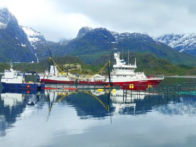 Lofoten_041.JPG