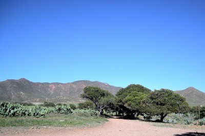 BF660560-EA36-4BF7-93F7-11BDE1FE2BF2.jpeg (199.6 KiB) 4705 mal betrachtet Hier gibt es noch ein wenig Schatten