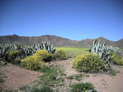 5D41ECF5-4D12-49C2-9F97-4032032D3EF5.jpeg (195.71 KiB) 4705 mal betrachtet Gelb - die vorherrschende Farbe im Februar