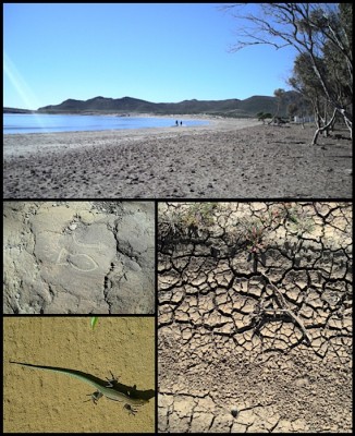 In der Nähe der Playa de los Genoveses