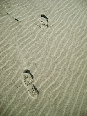 B19CEA19-386D-48A2-BD37-8C4A5AB63725.jpeg (193.66 KiB) 3826 mal betrachtet Durch feinen Sand geht es die Düne hinauf