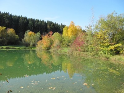 Herbststimmung See 5.jpg