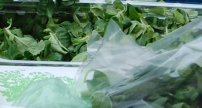 Feldsalat