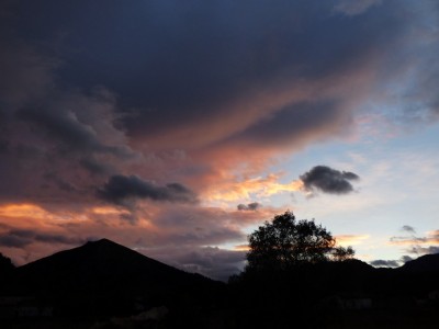 P1250187.JPG