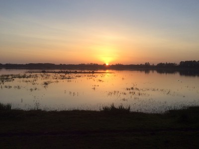 Sonnenuntergangsstimmung im Dezember