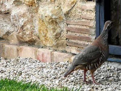 13 Mal schauen, was drinnen abgeht.JPG (117.63 KiB) 4086 mal betrachtet Mal schauen, was dort drinnen abgeht