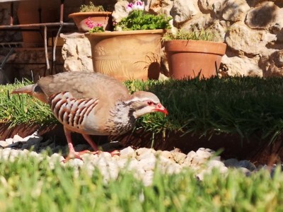 19 Mensch, jetzt kann ich jede einzelne Pore von dir sehen.JPG (87.96 KiB) 5034 mal betrachtet Er kann jede einzelne Pore in meinem Gesicht erkennen,