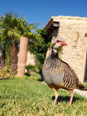 23 Gespränkeltes Lätzchen, da sieht man die die Flecken nicht so schnell.JPG (96.57 KiB) 5034 mal betrachtet Auch das Lätzchen ist wieder sauber.