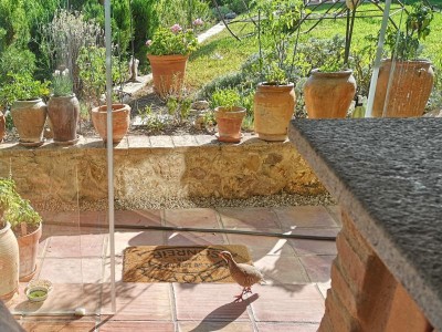 1.JPG (127.95 KiB) 3359 mal betrachtet Zielstrebig