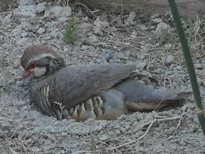 4.JPG (94.27 KiB) 3359 mal betrachtet ab in die Kuhle, hach, ist das schön!