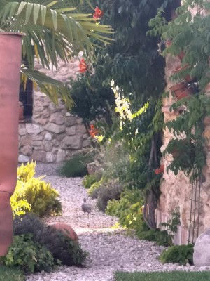 15 Richtung Parkplatz.JPG (87.71 KiB) 3361 mal betrachtet Klar, In Richtung Parkplatz - und dann schnurstracks zu<br /> „de Höhner“….