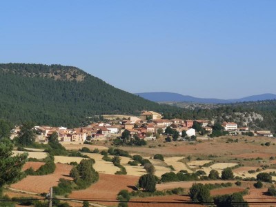 Royuela