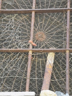 T Fliegengitter.JPG (151.73 KiB) 4534 mal betrachtet Vor den Fenstern "Fliegengitter"