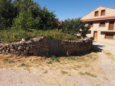 vorbei an Gärten.JPG