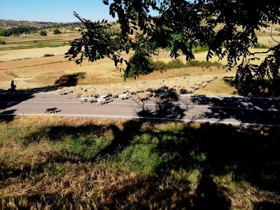 Rasenmäher auf dem Heimweg.JPG (132.67 KiB) 4305 mal betrachtet Rasenmäher auf dem Heimweg
