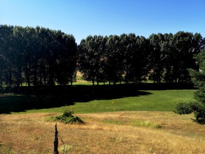 frisch gemäht.JPG (86.61 KiB) 2864 mal betrachtet frisch gemäht