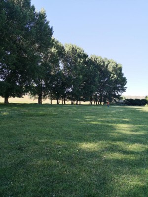 das Fairway.JPG (96.12 KiB) 2867 mal betrachtet Fairway