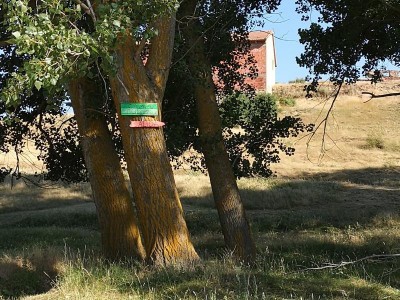 Hinweis zum Pitching Green.JPG (144.2 KiB) 2925 mal betrachtet Hinweisschild zum Pitching-Green