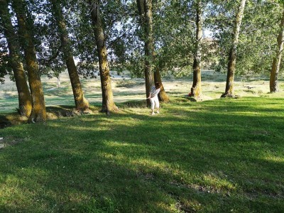 dort sollte der Ball eigentlich nicht landen.JPG (155.54 KiB) 2864 mal betrachtet Im Graben sollte der Balll eigentlich nicht landen!