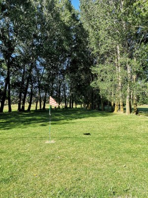 letzte Bahn.JPG (172.77 KiB) 2853 mal betrachtet Loch 9 am Ende einer Allee