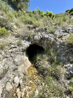 Fonts del Llimener