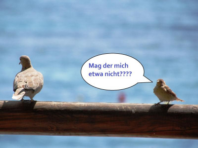 K800_Mag der mich nicht.JPG