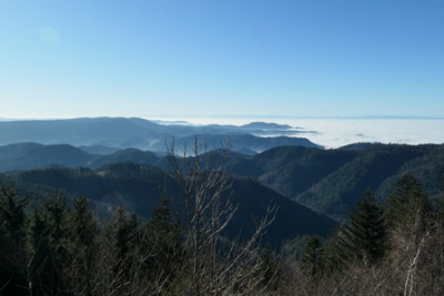 Hochnebel 01.jpg