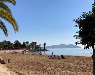 7B19ADFF-C52A-4795-902D-3A3D00819732.jpeg (180.43 KiB) 6825 mal betrachtet Manch einer tummelt sich noch im Wasser