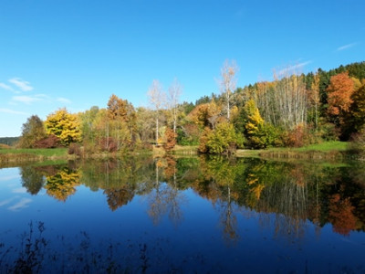Herbst 01.jpg