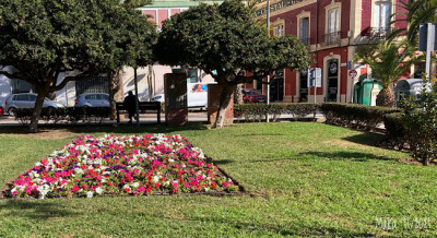 Momentan ist der Blumenschmuck noch ein wenig zurückhaltend