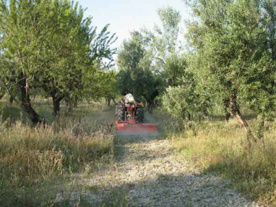 3 - Traktor1.jpg