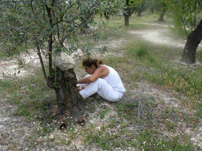 0 - 2006-04-Handarbeit-entfernung_wilder_triebe.jpg