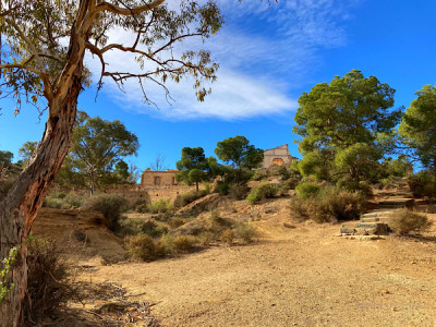 2461B89C-C4CA-4765-9808-0C252F9C5F47.jpeg (184.92 KiB) 4747 mal betrachtet Nur wenige Meter vom Parkplatz entfernt