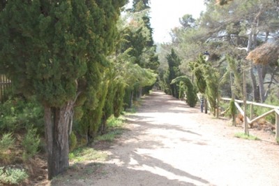 Spazierweg nach Penàguila