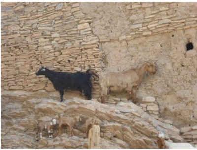 Screenshot 2021-10-26 085644.jpg