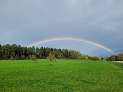 Regenbogen 03.jpg