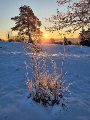 Sonnenaufgang 03.jpg