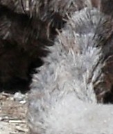 R13.jpg