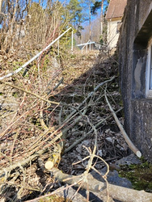 Die Treppe wurde wohl schon lange nicht mehr benutzt