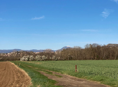 und auf dem Puy de Dome